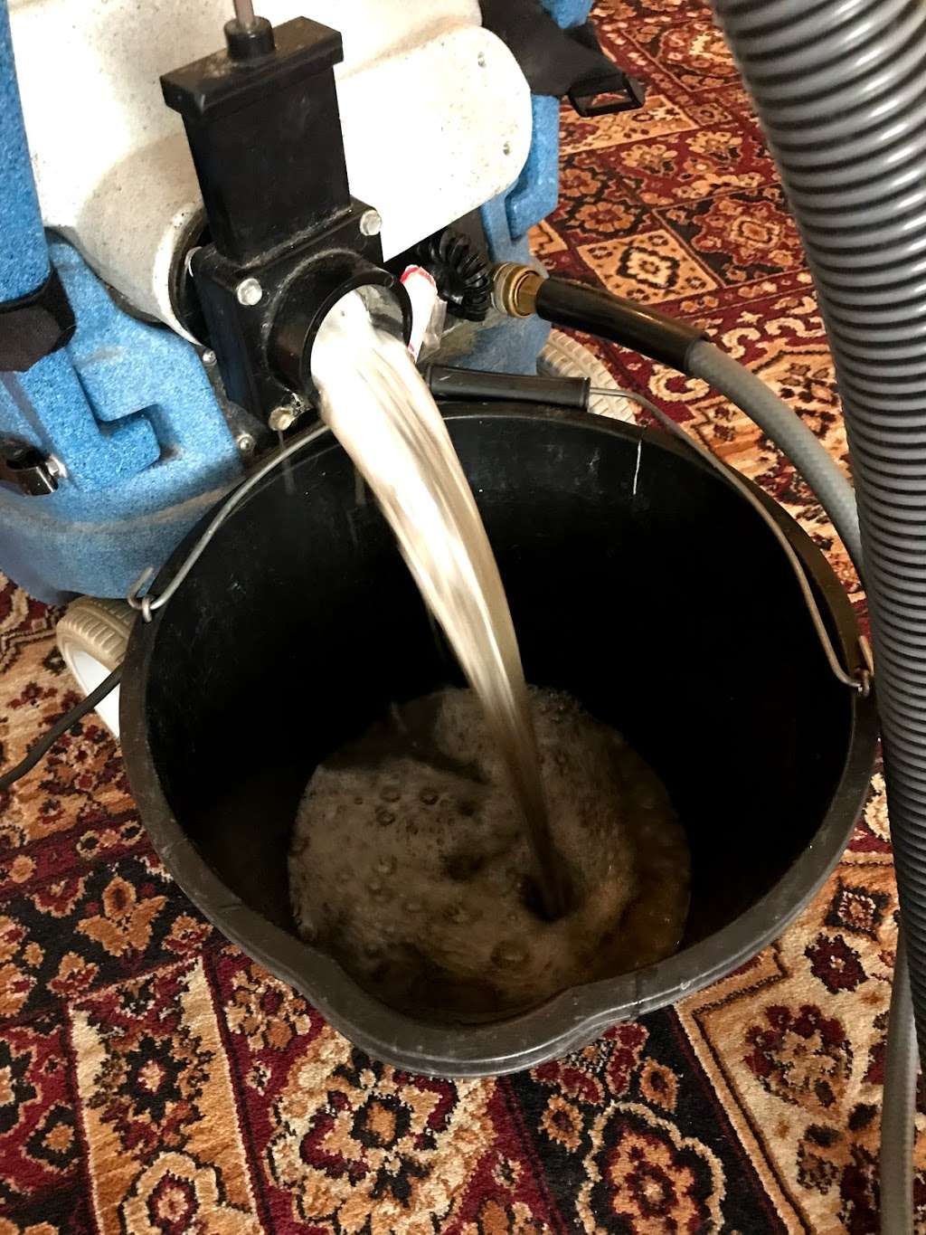 Imperial carpet cleaning | 6, Pershore House, Singapore Rd, London W13 0UL, UK | Phone: 020 3719 6161
