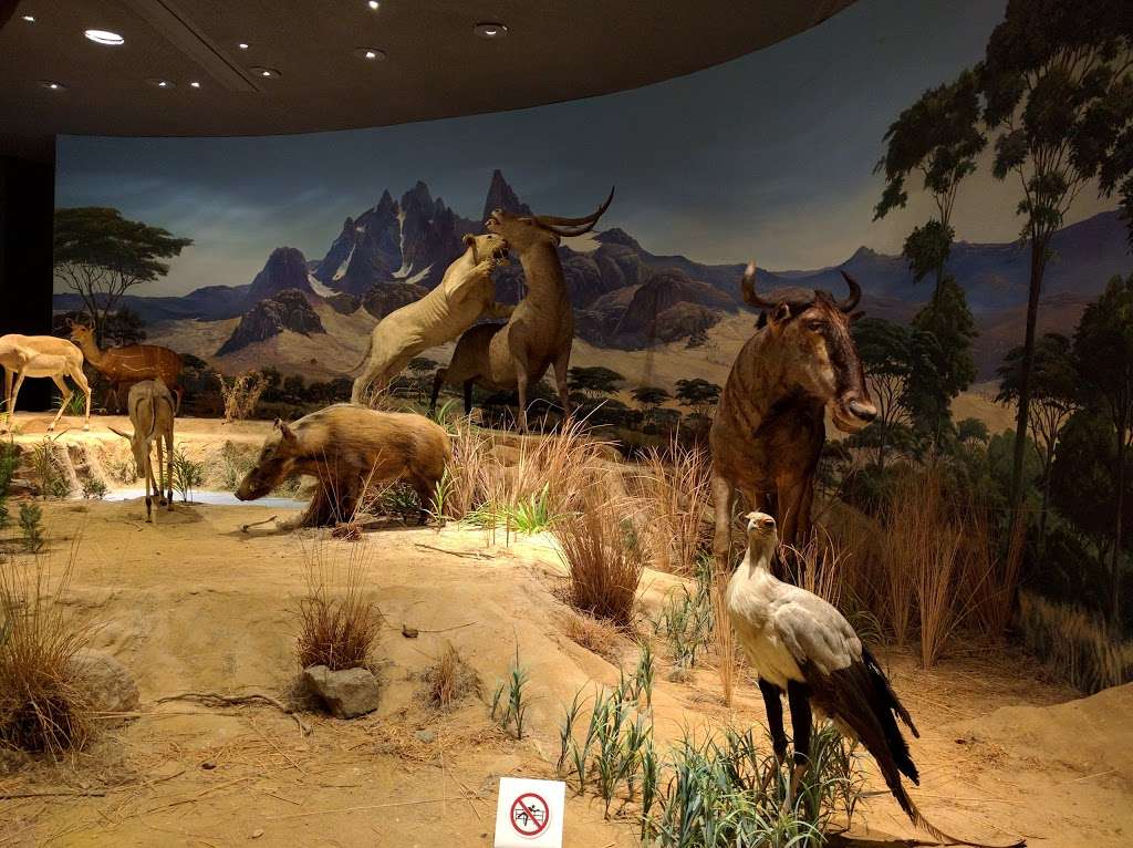 Delaware Museum of Natural History | 4840 Kennett Pike, Wilmington, DE 19807, USA | Phone: (302) 658-9111