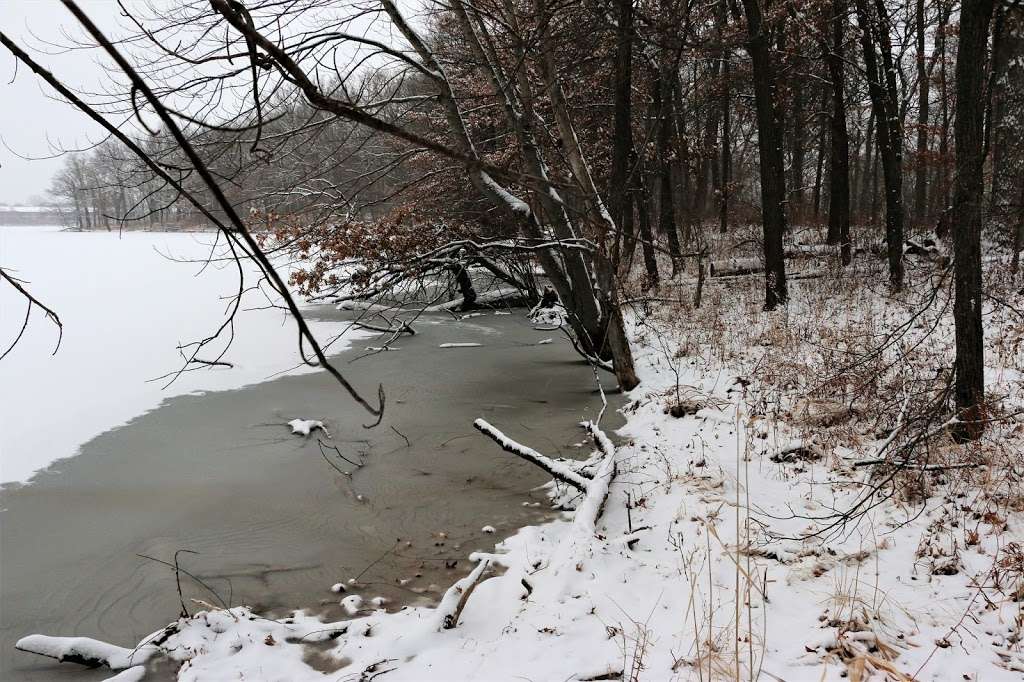 Reed-Turner Woodland Nature Center | 3849 Old McHenry Rd, Long Grove, IL 60047, USA | Phone: (847) 438-4743