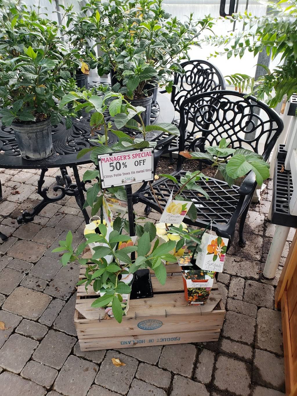 Kings Gardens Garden Center | 4560 Nicholasville Rd, Lexington, KY 40515, USA | Phone: (859) 272-7077