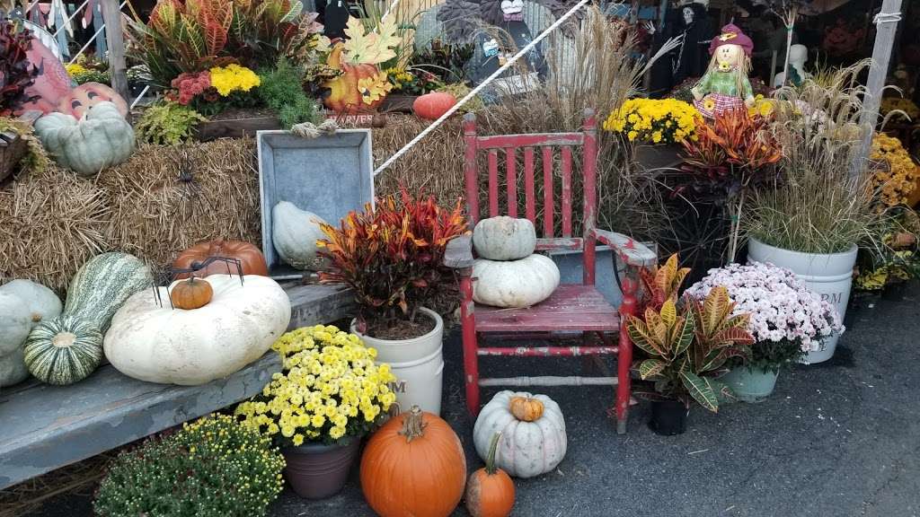 Burke Nursery & Garden Centre | 9401 Burke Rd, Burke, VA 22015, USA | Phone: (703) 323-1188