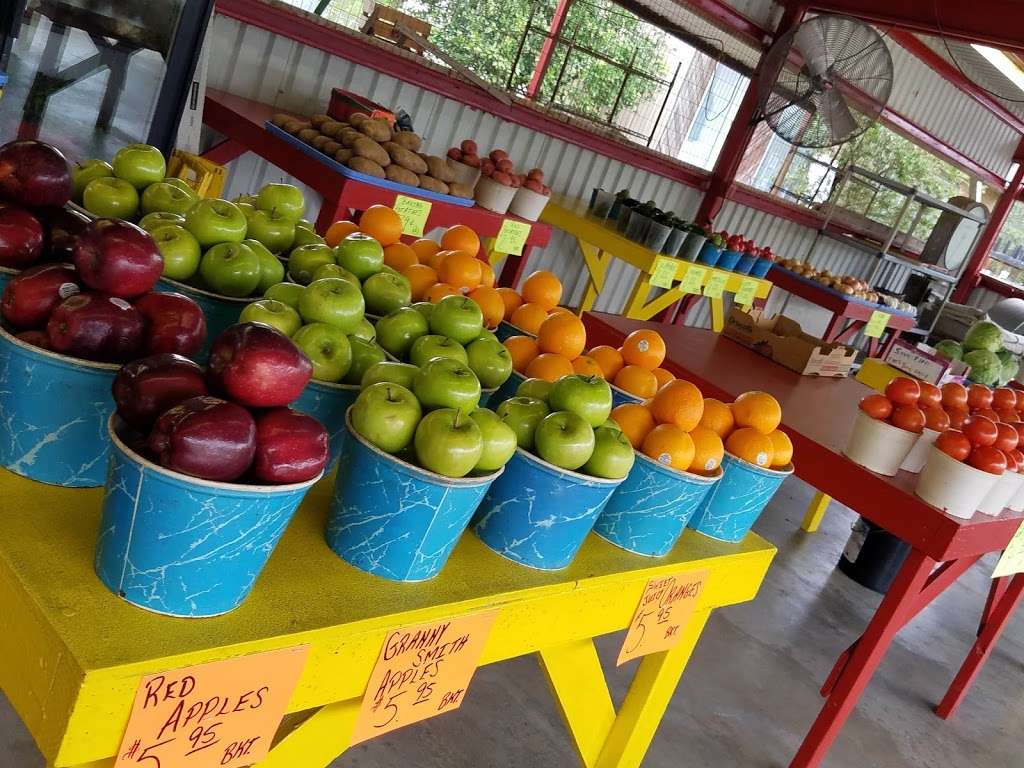 Batys Fruitstand & PalmTree Nursery | 4821 FM 521 Rd, Arcola, TX 77583 | Phone: (281) 431-9150