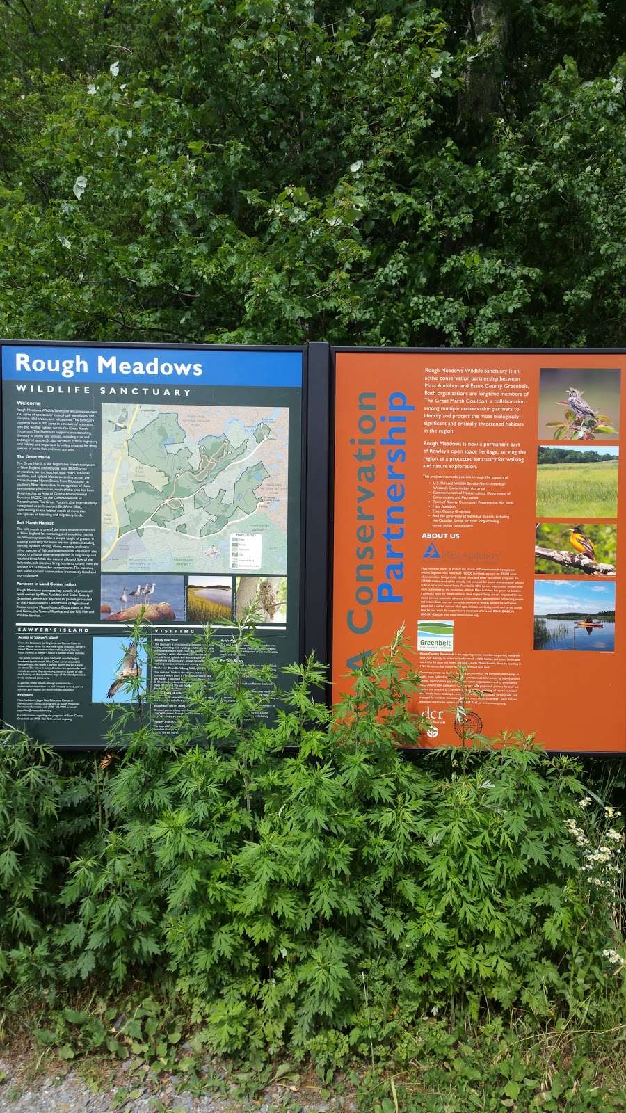 Mass Audubons Rough Meadows Wildlife Sanctuary | Patmos Rd, Rowley, MA 01969 | Phone: (978) 462-9998