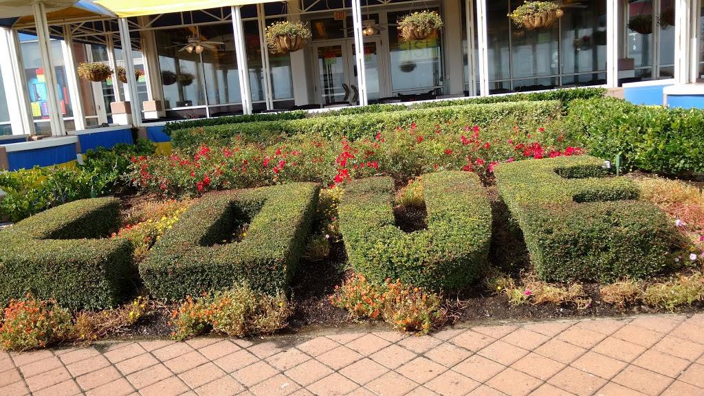 Rockfish | 1601 Atlantic Ave, Virginia Beach, VA 23451, USA | Phone: (757) 213-7625