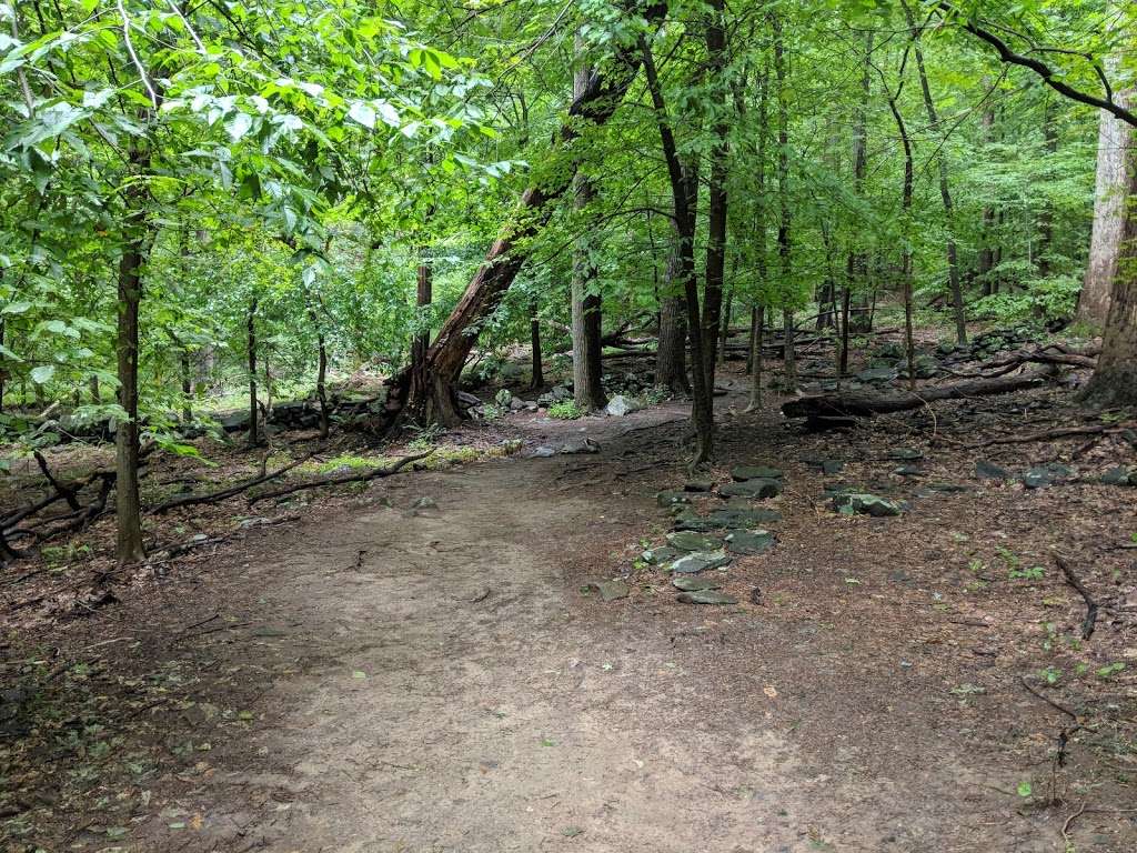 Turkey Mountain Park | Yorktown Heights, NY 10598, USA