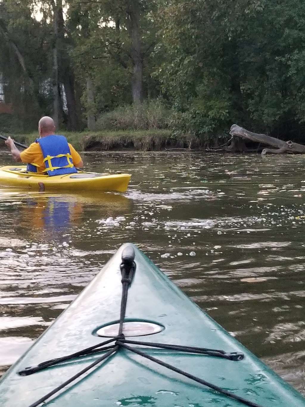 River Bend Nature Center | 3600 N Green Bay Rd, Racine, WI 53404, USA | Phone: (262) 639-1515