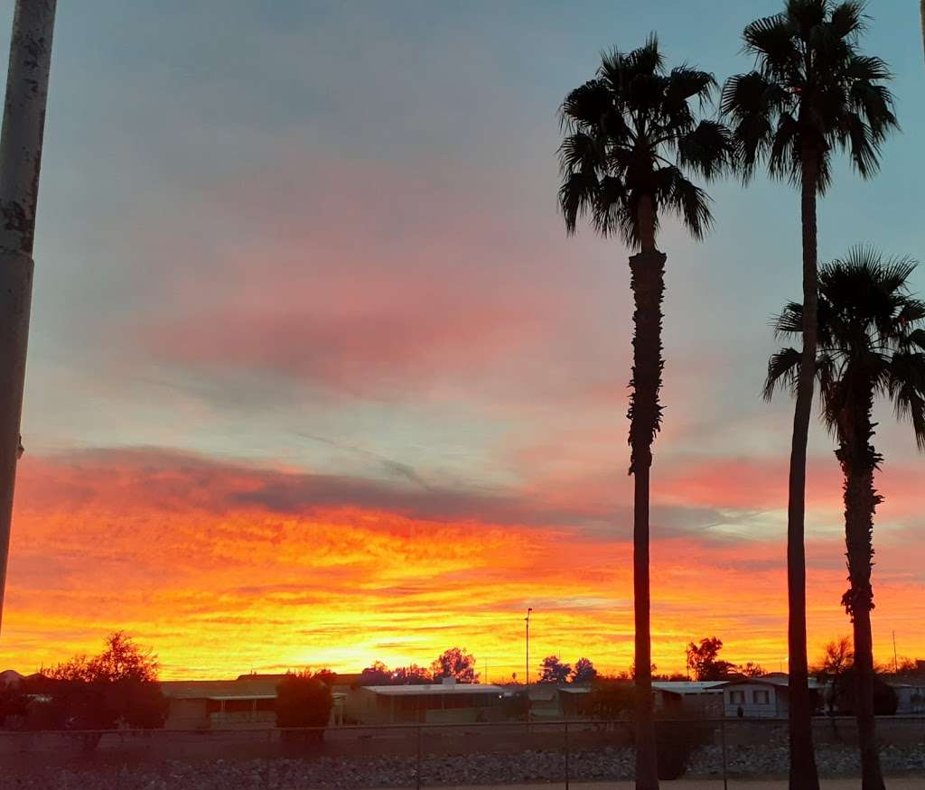 paradise shadows mobile home park