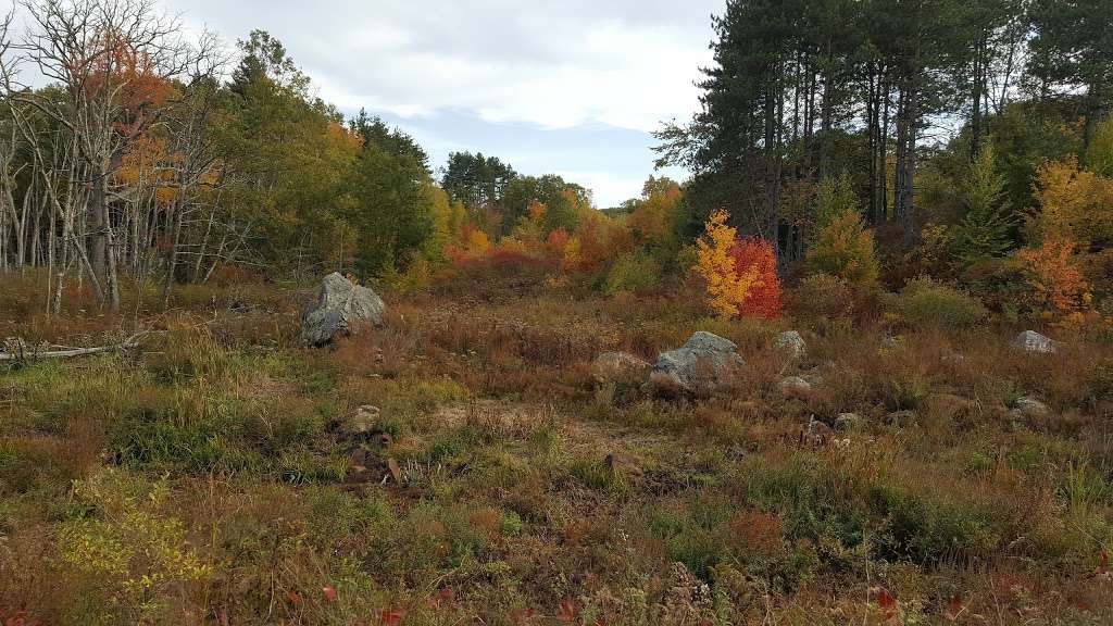 Martin Burns Wildlife Management Area Field Office | Orchard St, Newbury, MA 01922, USA | Phone: (978) 465-8012