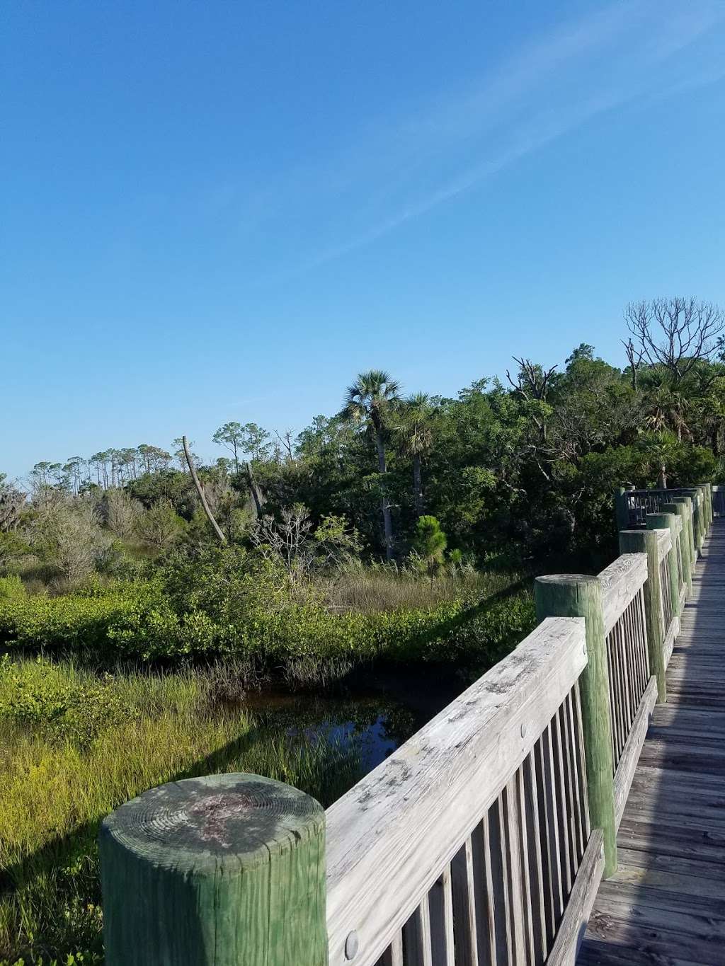 Spruce Creek Preserve Turnbull Bay New Smyrna Beach Fl Usa