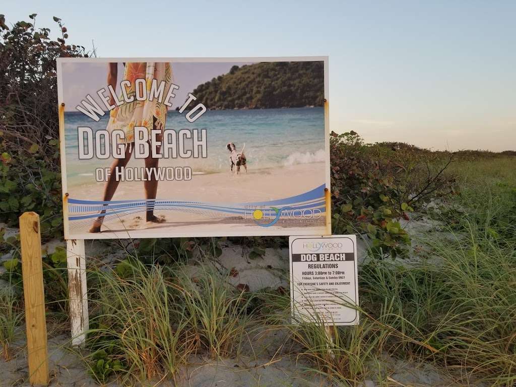 Hollywood Dog Beach | 4999 N Surf Rd, Hollywood, FL 33019, USA | Phone: (954) 921-3404