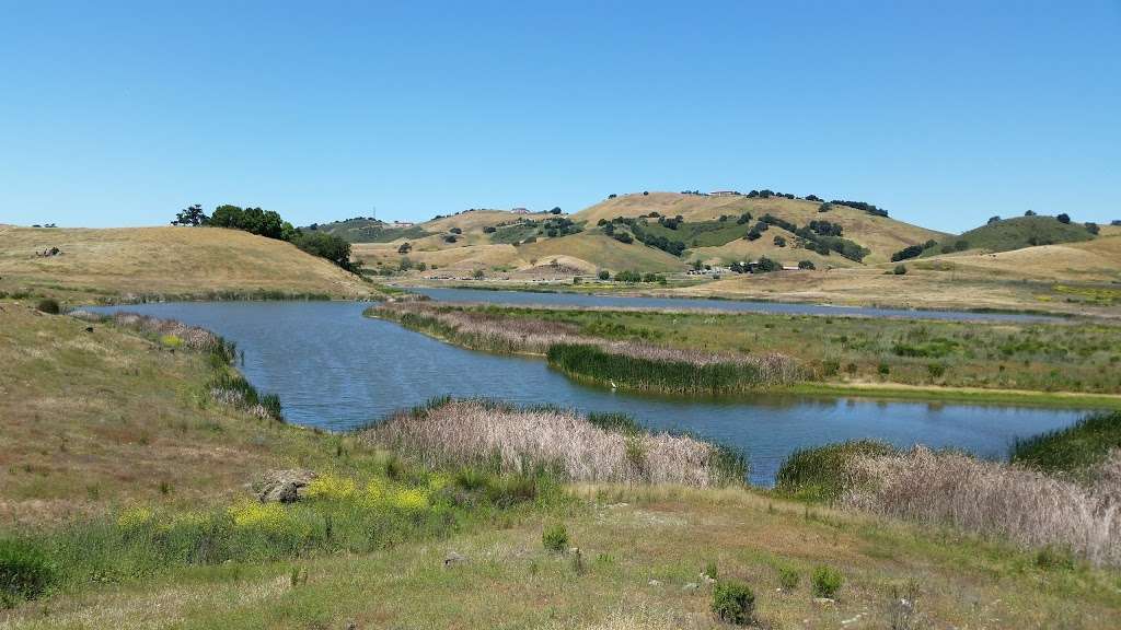 Calero County Park | 23205 McKean Rd, San Jose, CA 95120, USA | Phone: (408) 535-4070