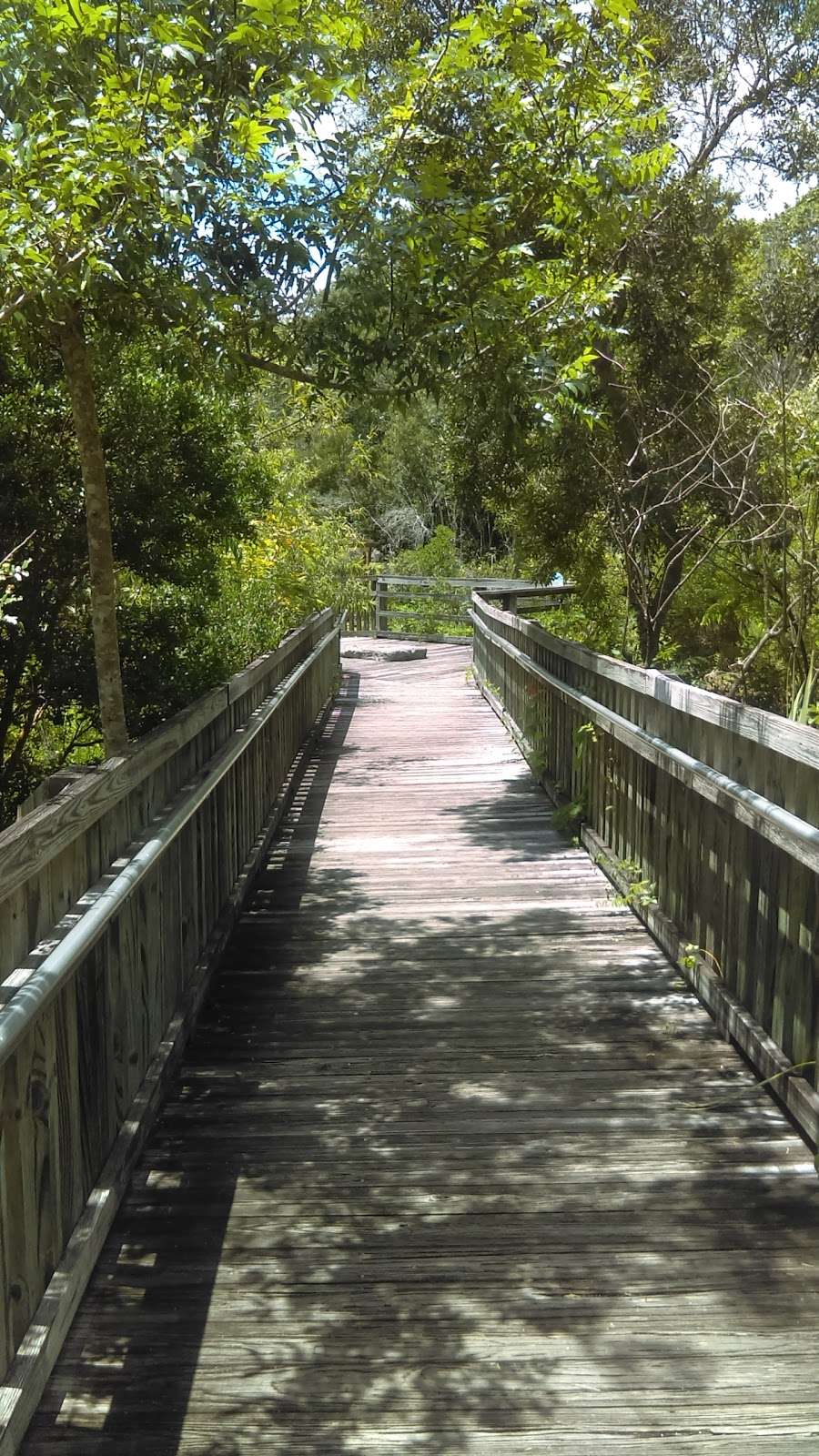 Brevard County Enchanted Forest Sanctuary | 444 Columbia Blvd, Titusville, FL 32780, USA | Phone: (321) 264-5185
