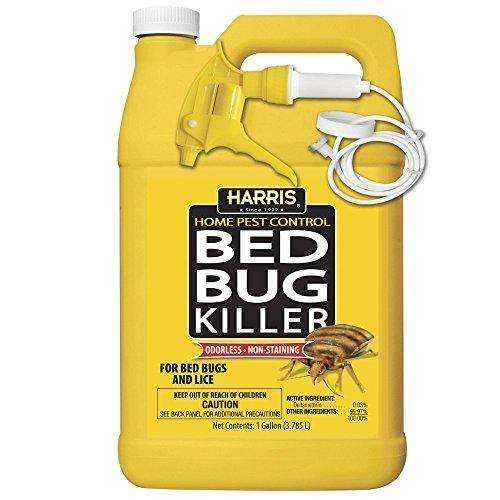bye bye bed bugs | 11604 NW 29th Ct, Coral Springs, FL 33065, USA | Phone: (954) 543-1447
