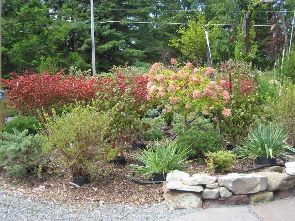 Wisspering Pine Garden Center | 1400 PA-739, Dingmans Ferry, PA 18328, USA | Phone: (570) 686-4849