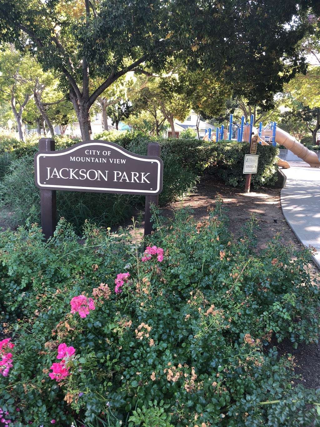 Jackson Park | Jackson St & Stierlin Road, Mountain View, CA 94043, USA