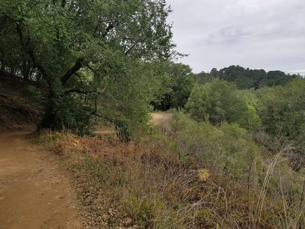 Moon Gate | Connector Trail, Oakland, CA 94611