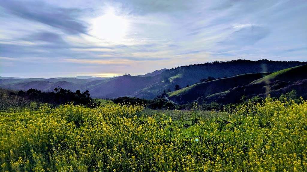 Thornewood Open Space Preserve | Woodside, CA 94062, USA | Phone: (650) 691-1200