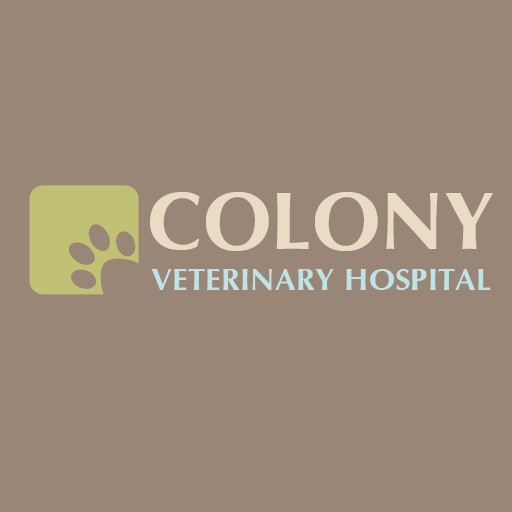 Colony Veterinary Hospital | 7748 Regents Rd # 302, San Diego, CA 92122, USA | Phone: (858) 450-5047