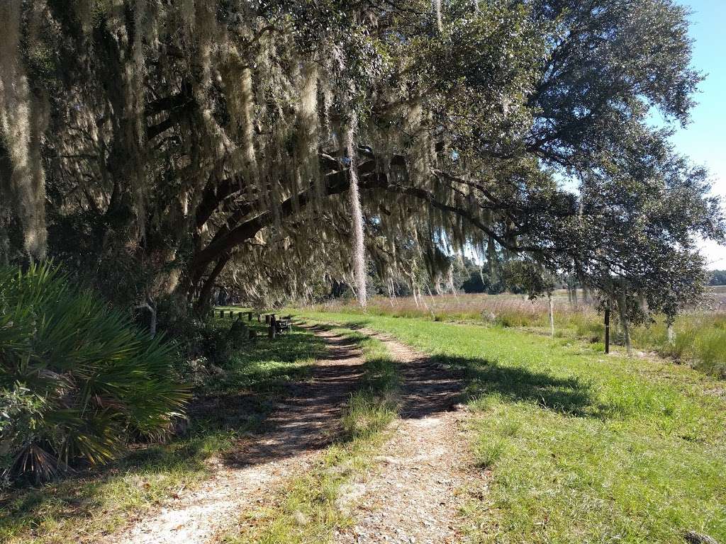 Hopkins Prairie Campground | Fort McCoy, FL 32134, USA