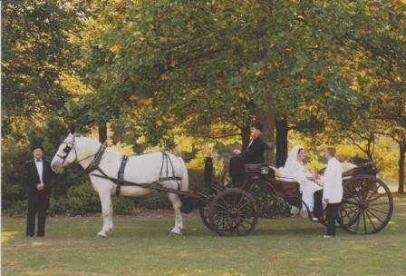 Buggies and Things Horse Drawn Carriage Service | 488 E 1000 N, Chesterton, IN 46304 | Phone: (219) 926-6936