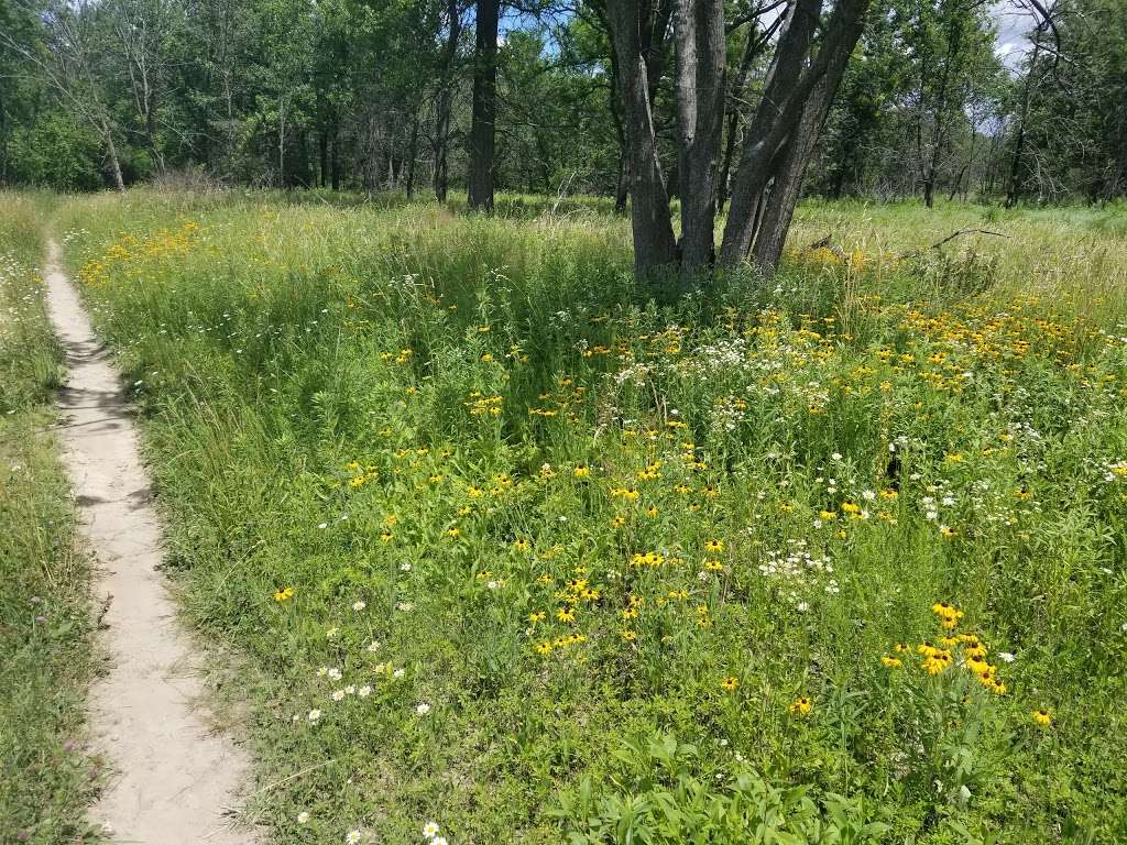 Maple Lake East - Mountain Bike Staging Area | 9500 Willow Springs Rd, Willow Springs, IL 60480, USA | Phone: (800) 870-3666