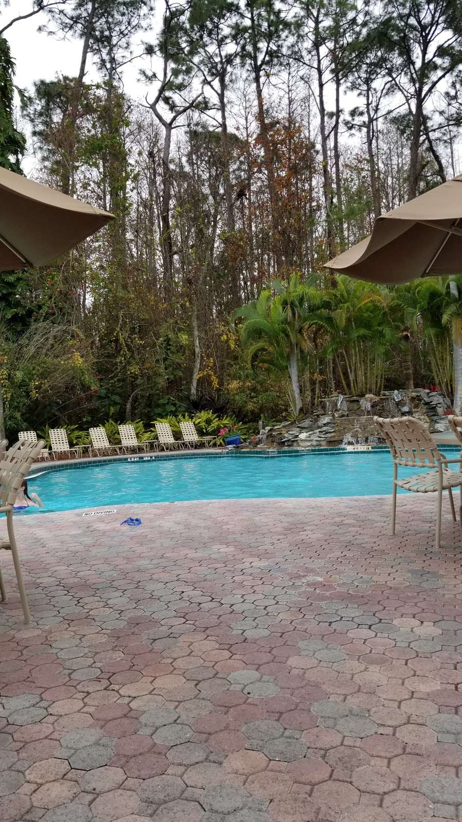Parkway International Resort | 6200 Safari Trail, Kissimmee, FL 34747, USA | Phone: (800) 438-2929