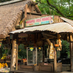 Harambe Fruit Market | Harambe Vil, Kissimmee, FL 34747, USA | Phone: (407) 939-5277