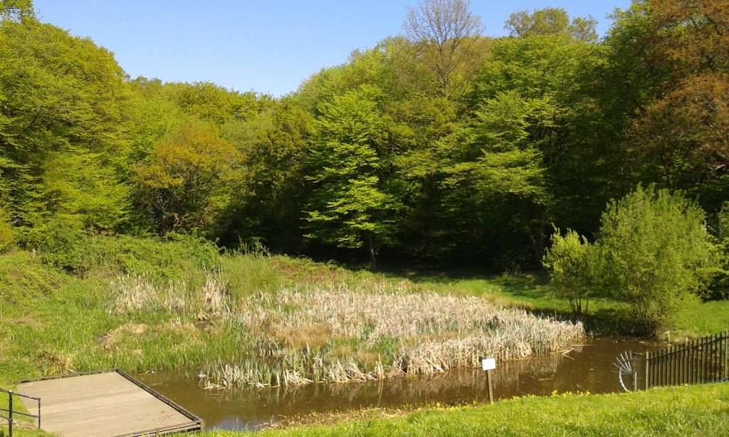 Loughton Brook Storage Pond | 5 Staples Rd, Loughton IG10 1HP, UK