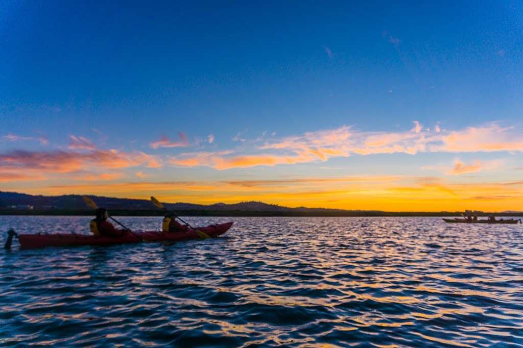 Bair Island Ecological Reserve | Redwood City, CA 94063 | Phone: (707) 944-5500