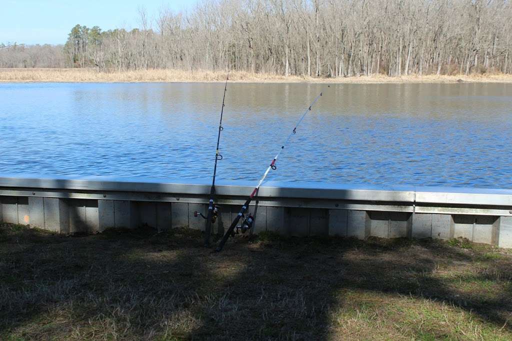 Phillips Landing Park | Laurel, Laurel, DE 19956, USA