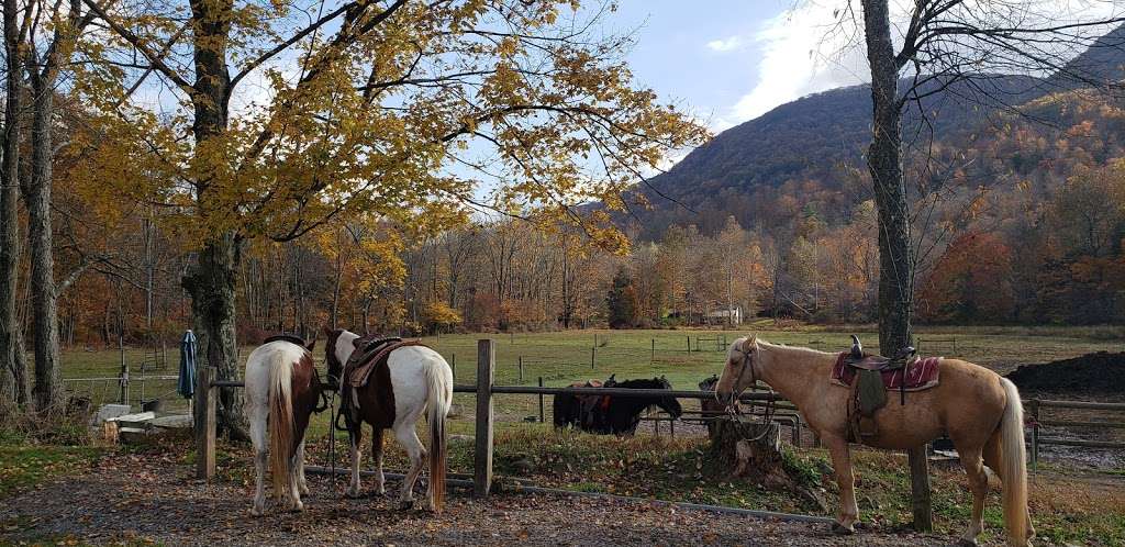 Braces Stables Inc | 62 Jamison City Rd, Benton, PA 17814, USA | Phone: (570) 925-5253