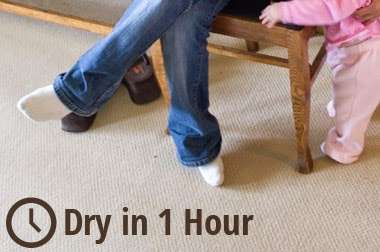 Heavens Best Carpet Cleaning Boulder CO | 2690 Trailridge Dr W, Lafayette, CO 80026, USA | Phone: (303) 258-3681