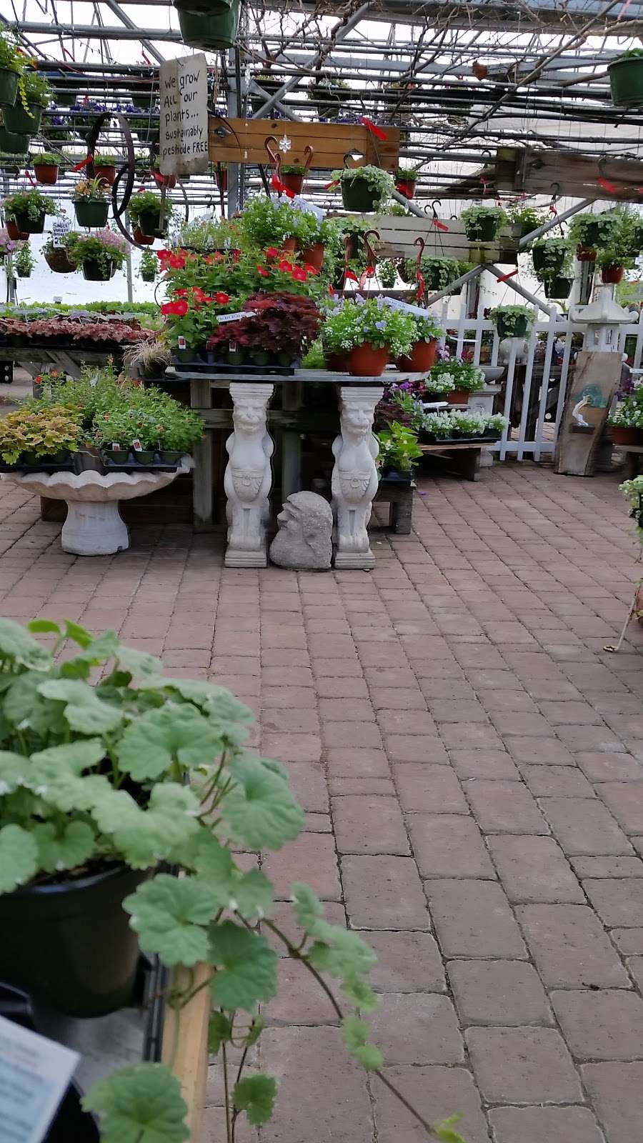 Rockingham Acres Garden Center | 161 Rockingham Rd #4154, Derry, NH 03038, USA | Phone: (603) 434-2817