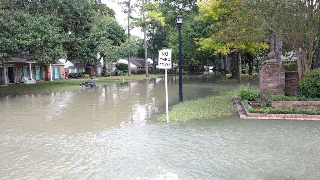 Memorial Dr @ Old Oaks Dr | Houston, TX 77024, USA