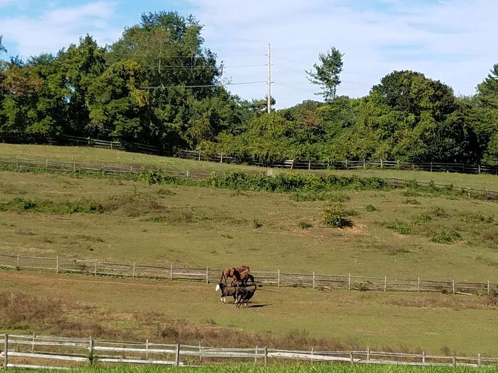 Greylyn Show Stable and Riding Academy | 790 Darby Paoli Rd, Berwyn, PA 19312, USA | Phone: (484) 566-9440