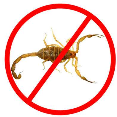 Nevada Pest Control - " Lou & Brenda " | 3520 Tack St, Las Vegas, NV 89122, USA | Phone: (702) 438-5956