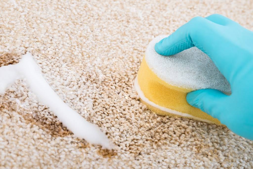 Superior Carpet & Upholstery Cleaning | 10306 Mersham Hill Dr, Bakersfield, CA 93311, USA | Phone: (661) 325-2600