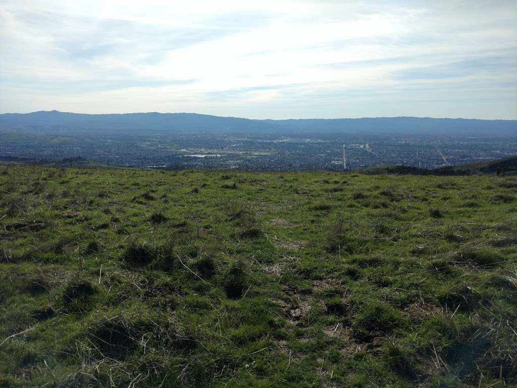 End of the Trail - Picnic Area | Calaveras Fault Trail, San Jose, CA 95127, USA