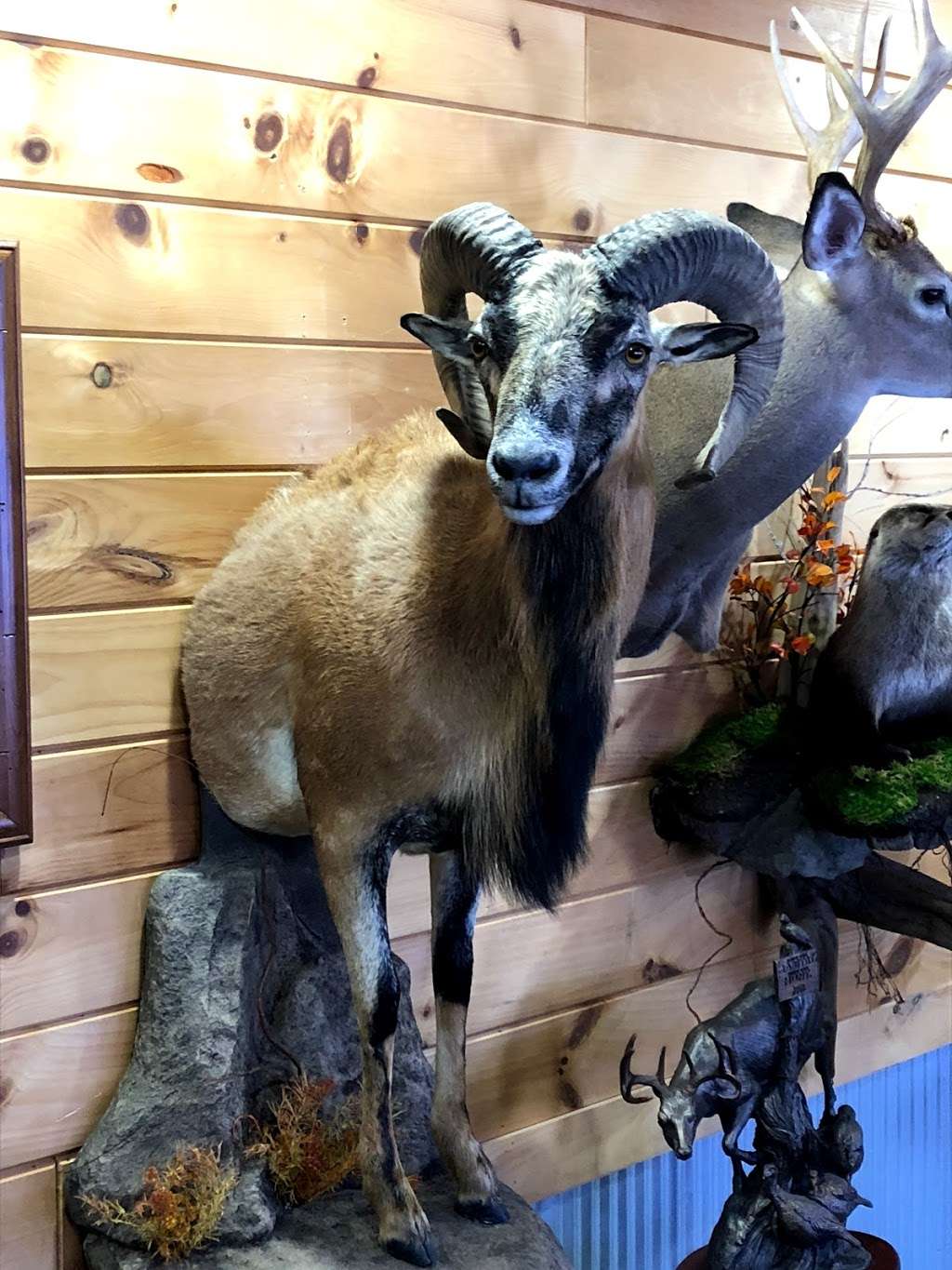 Nature’s Outdoors and Taxidermy | 357A Camp Lavigne Rd, Benton, PA 17814, USA | Phone: (570) 925-4091