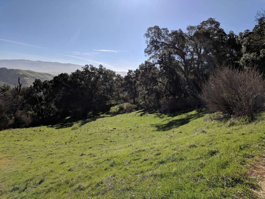 Pleasanton Ridge Regional Park | Foothill Rd, Pleasanton, CA 94588, USA | Phone: (510) 544-3030