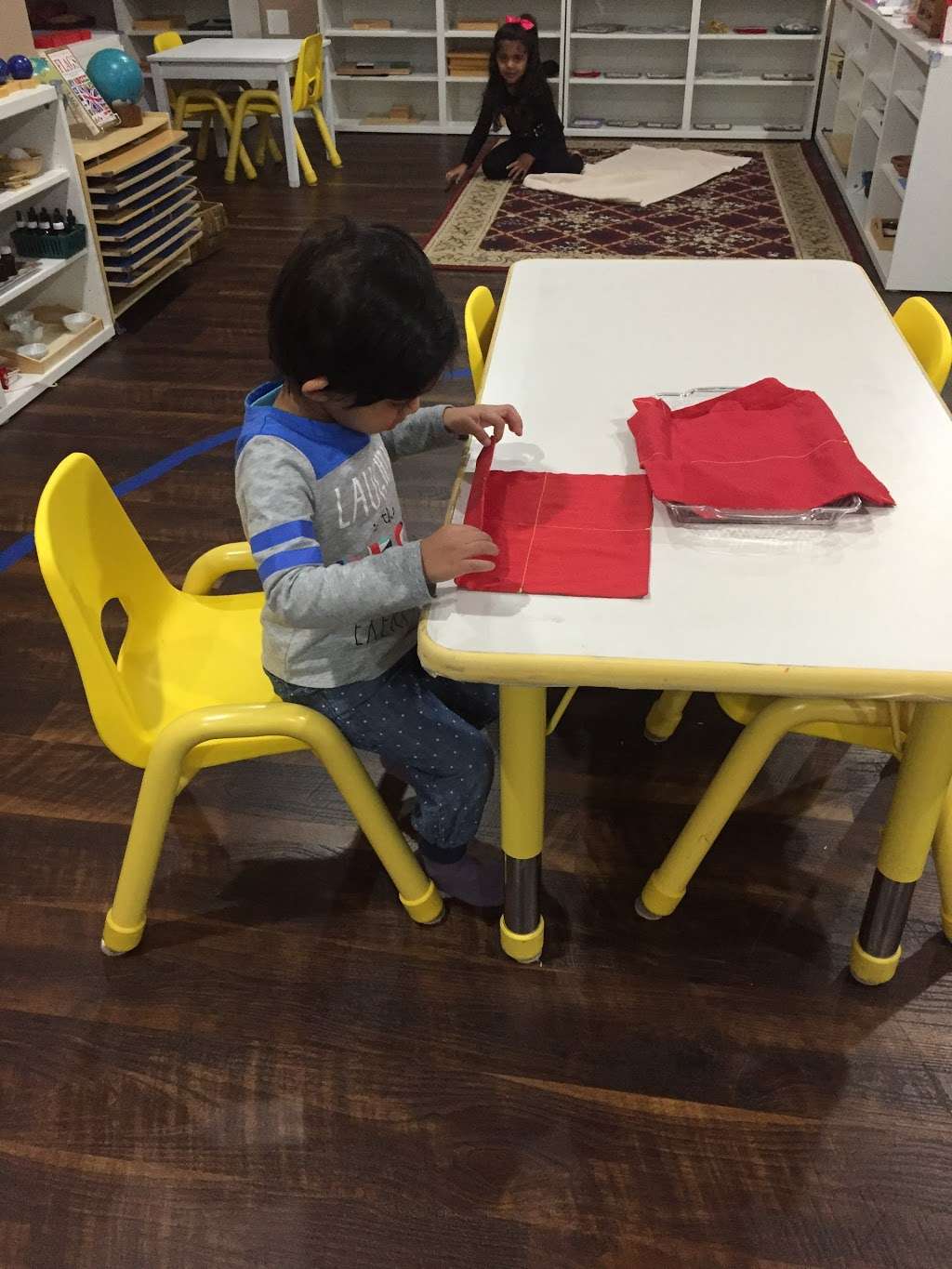 The Lotus Montessori School | 4324 Fraser Cir, Naperville, IL 60564, USA | Phone: (952) 200-0373