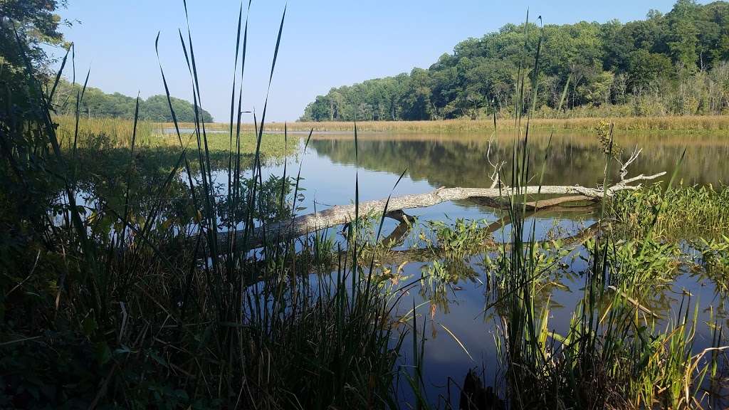 Chestnut Land Trust Prince Frederick Trailhead | 165 Vianney Ln, Prince Frederick, MD 20678 | Phone: (410) 414-3400