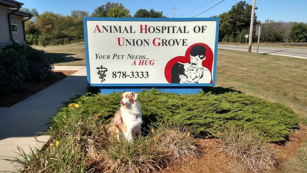 Animal Hospital of Union Grove | 4414 Schoen Rd, Union Grove, WI 53182, USA | Phone: (262) 878-3333