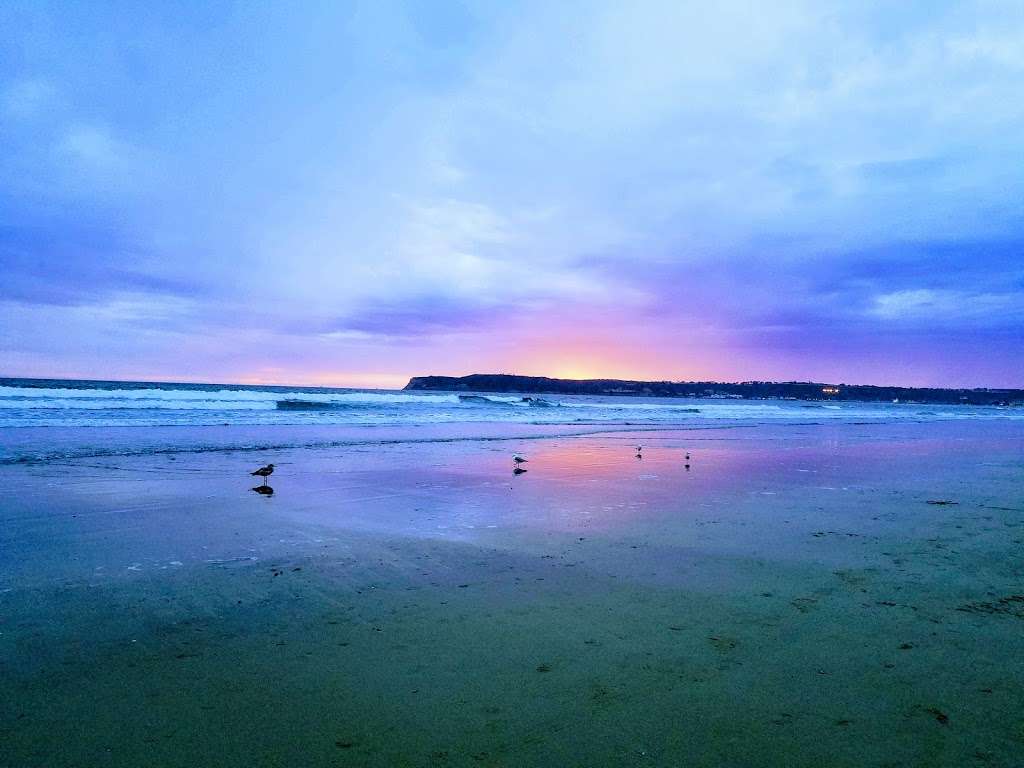 Coronado Beach & Dog Park | Ocean Blvd, Coronado, CA 92118, USA | Phone: (619) 522-7342