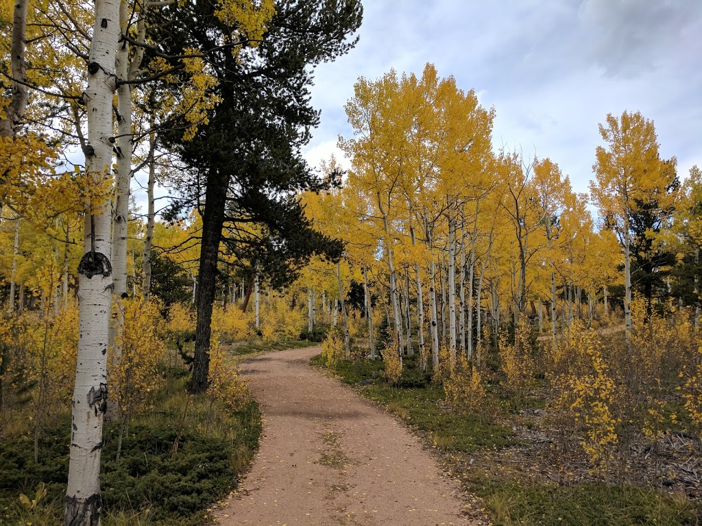 Staunton State Park | 12102 S Elk Creek Rd, Pine, CO 80470, USA | Phone: (303) 816-0912