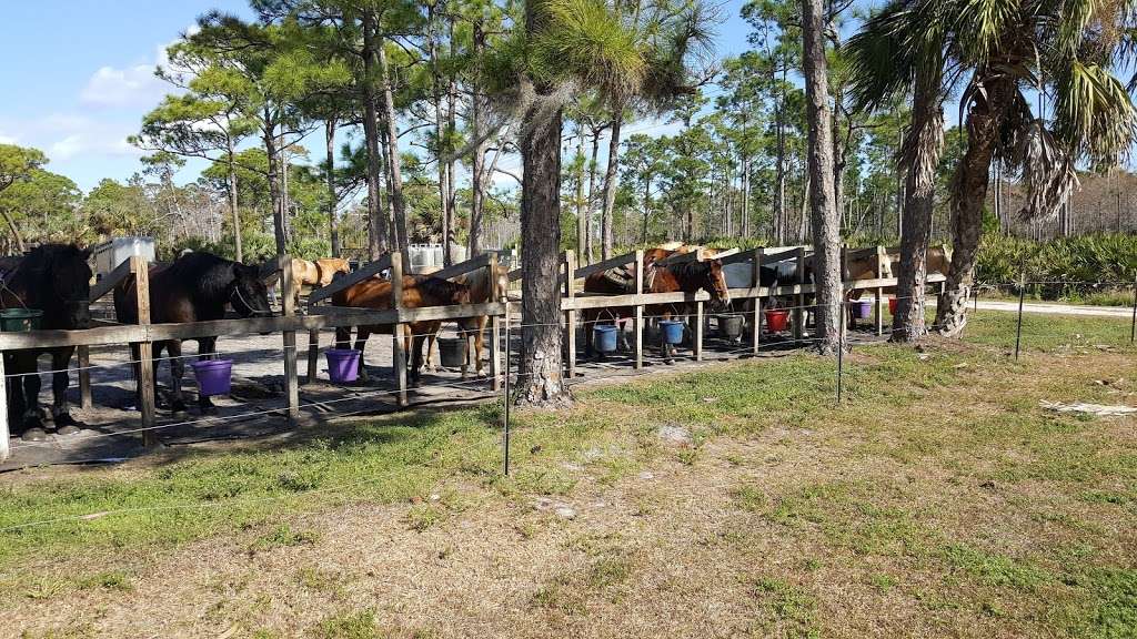 Eaglesview Campground | Park Rd, Hobe Sound, FL 33455, USA