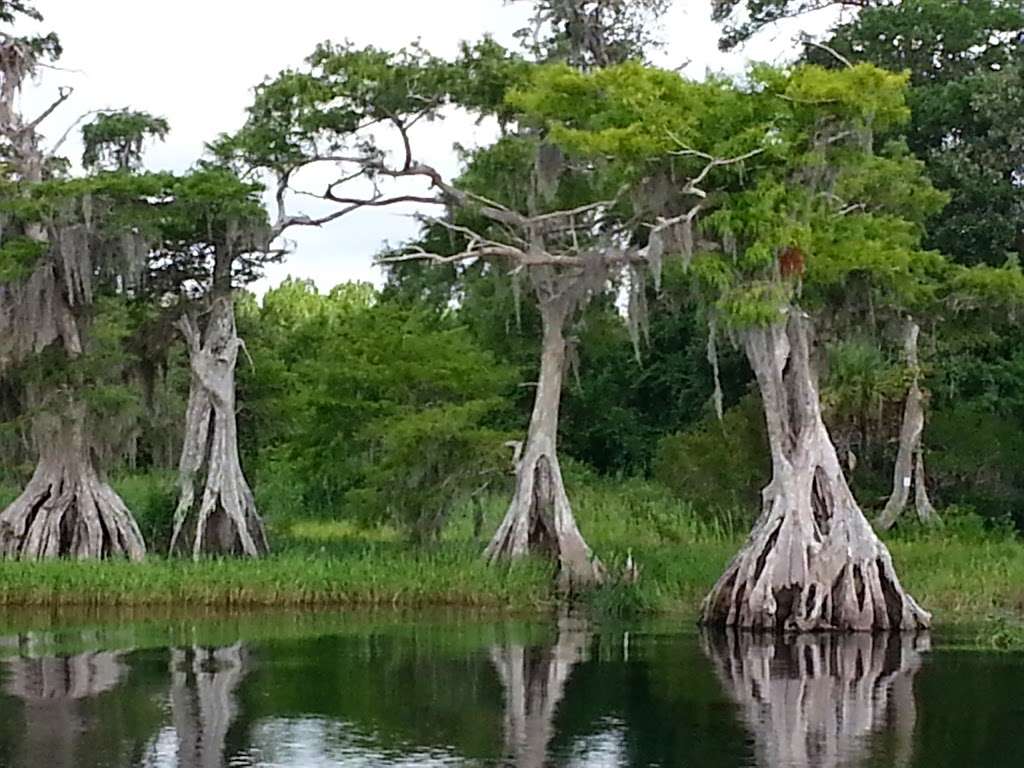 Heart Island Conservation Area | De Leon Springs, FL 32130, USA