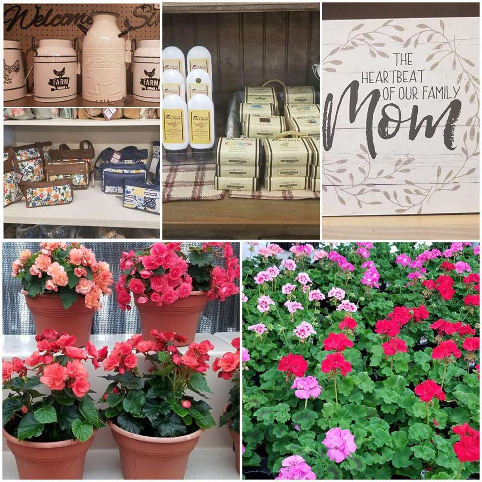 Bennett Farms Garden Center | 27720 Ocean Gateway, Hebron, MD 21830 | Phone: (410) 546-5232