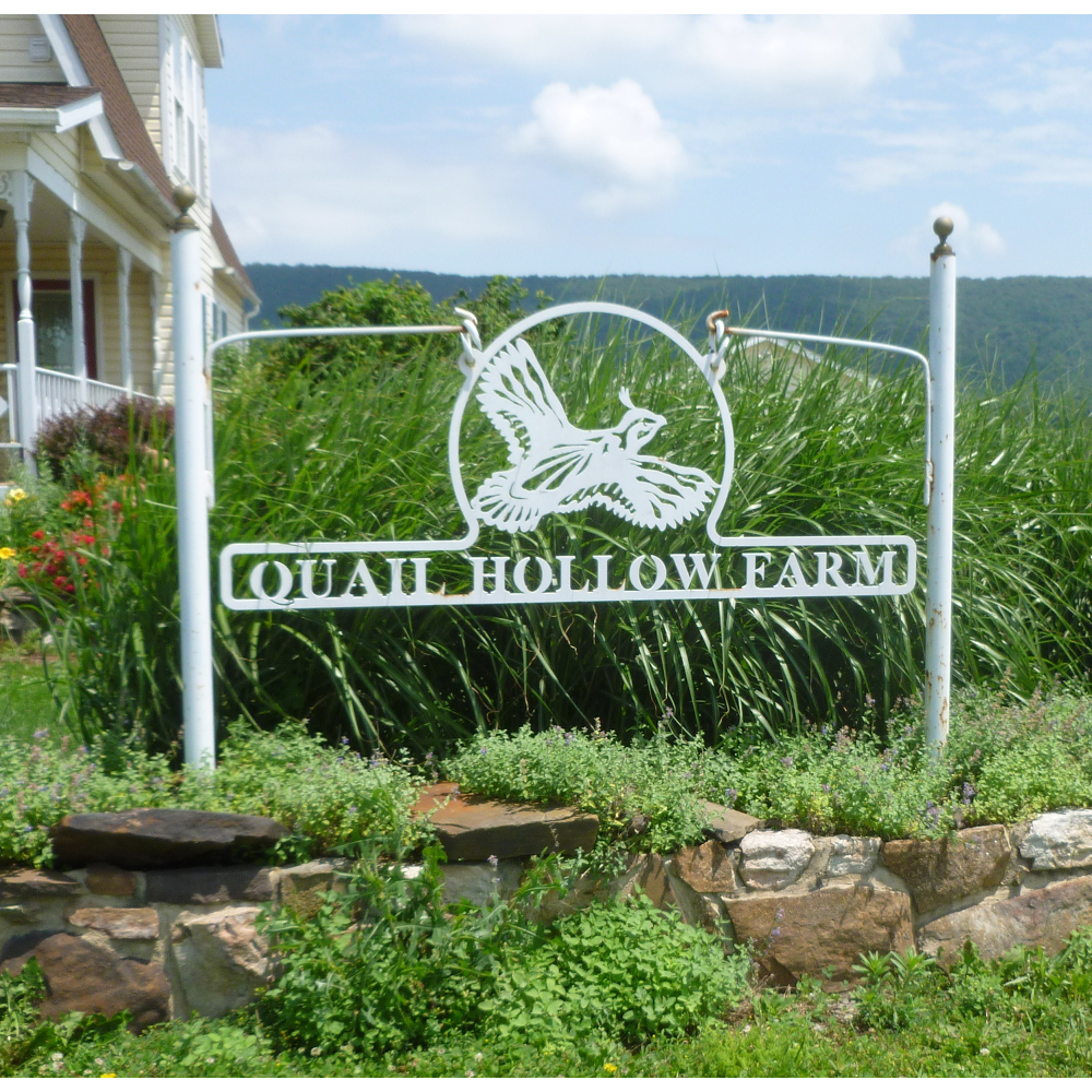 Quail Hollow Farm Herbs & Flowers | 5285 Highland Ridge Rd, Berkeley Springs, WV 25411, USA | Phone: (304) 258-0584