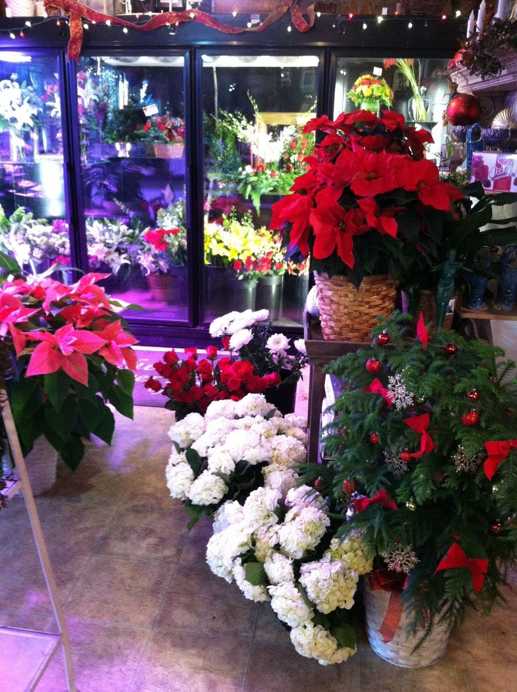 Bethel Flower Market | 23 Stony Hill Rd, Bethel, CT 06801, USA | Phone: (203) 790-1111